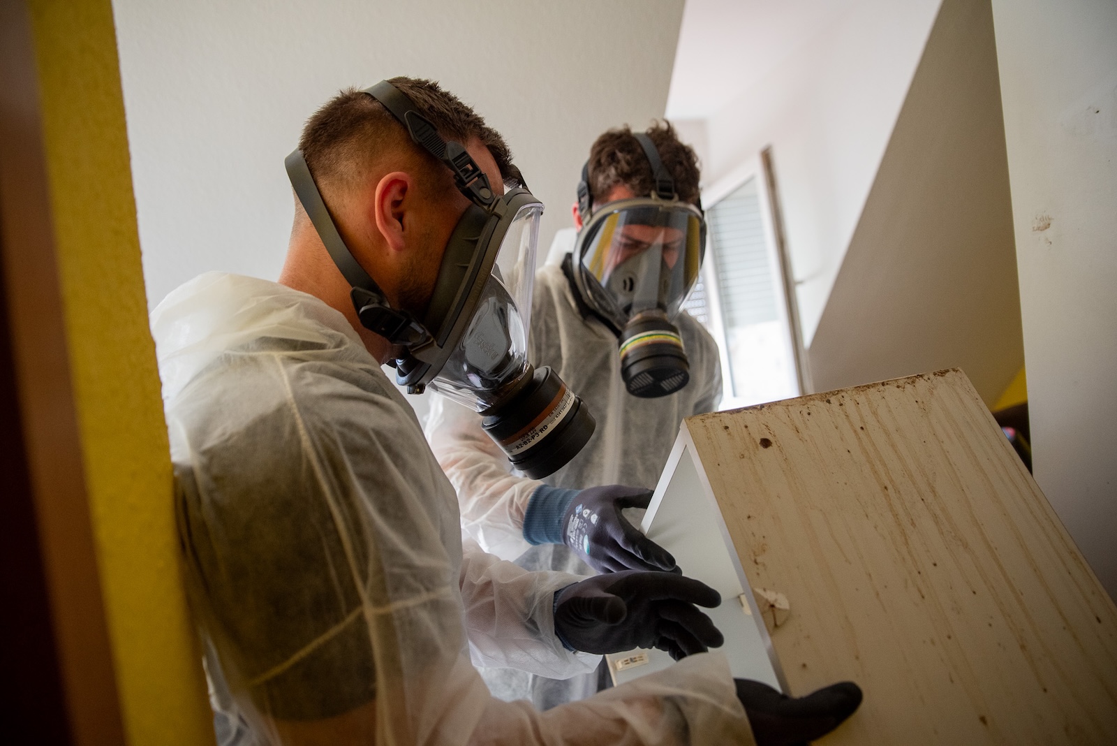Gründliche Nacharbeit nach einem Schädlingsbefall